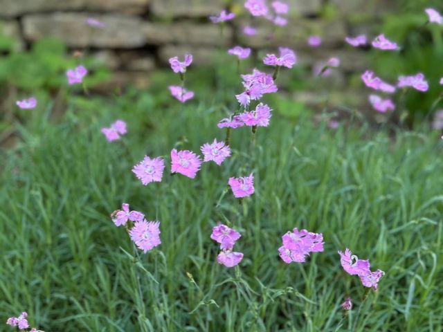 4350 River Road S, Afton, MN 55001