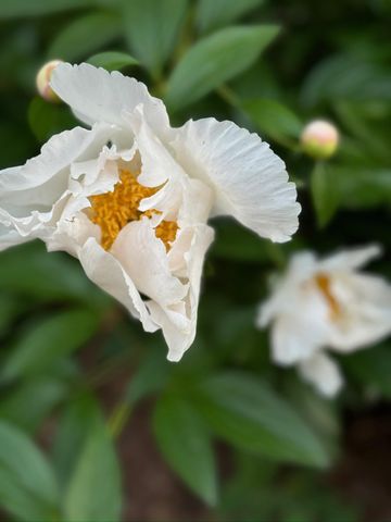 4350 River Road S, Afton, MN 55001