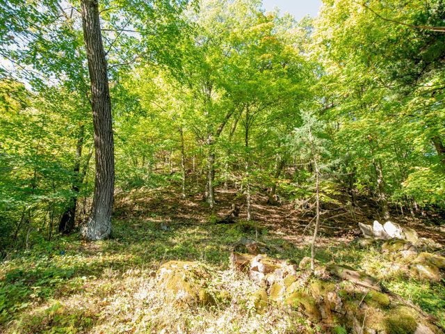 4350 River Road S, Afton, MN 55001