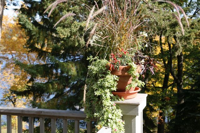 4350 River Road S, Afton, MN 55001