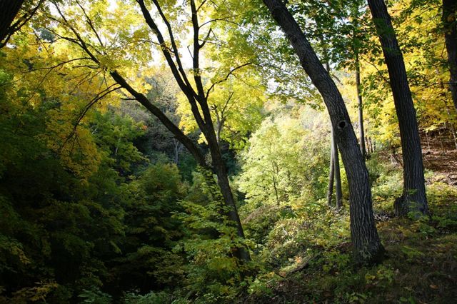 4350 River Road S, Afton, MN 55001