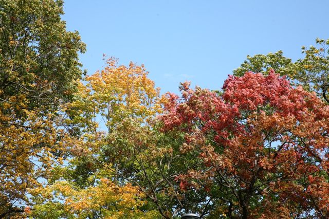 4350 River Road S, Afton, MN 55001