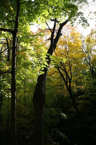 4350 River Road S, Afton, MN 55001