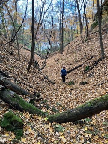 4350 River Road S, Afton, MN 55001