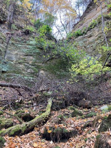 4350 River Road S, Afton, MN 55001