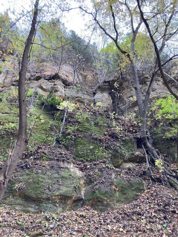 4350 River Road S, Afton, MN 55001