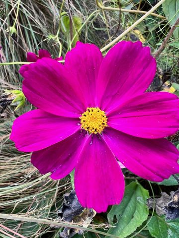 4350 River Road S, Afton, MN 55001