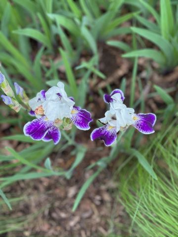 4350 River Road S, Afton, MN 55001