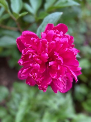 4350 River Road S, Afton, MN 55001