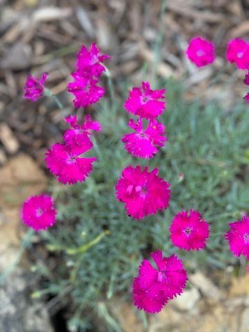 4350 River Road S, Afton, MN 55001