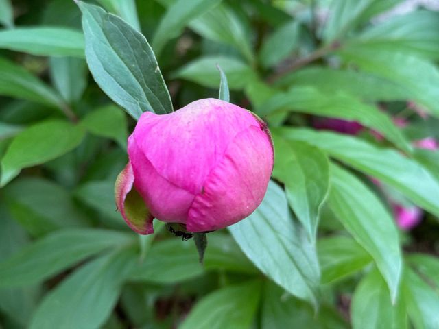 4350 River Road S, Afton, MN 55001