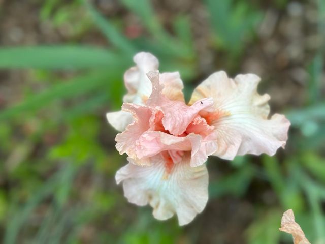 4350 River Road S, Afton, MN 55001