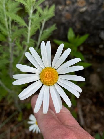 4350 River Road S, Afton, MN 55001