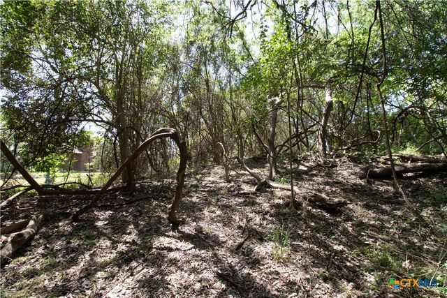 Lot 48 & 1/2 of 47 Guadalupe River Dr., Seguin, TX 78155