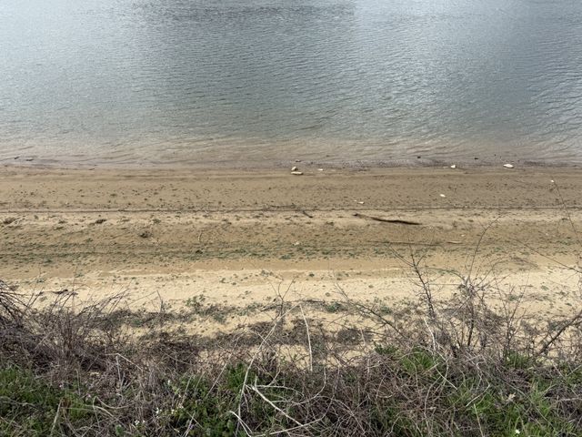 706 River Front Dr, S, Clifton, TN 38425