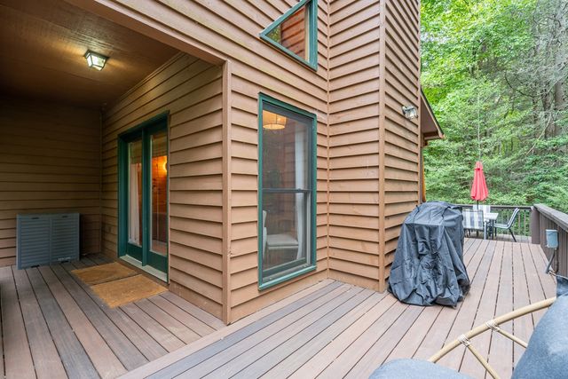 60 Icy Lane, Blue Ridge, GA 30513