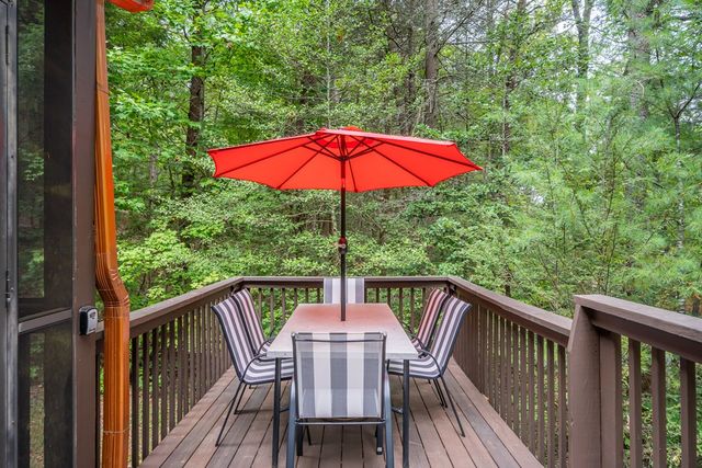 60 Icy Lane, Blue Ridge, GA 30513