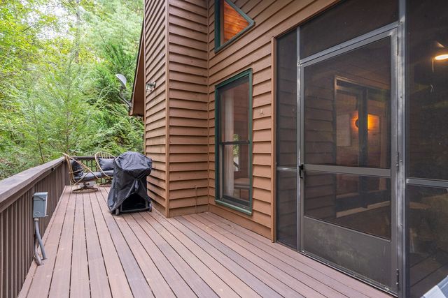 60 Icy Lane, Blue Ridge, GA 30513