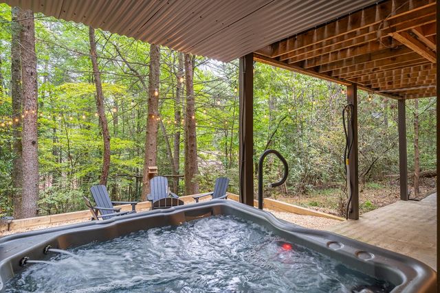 60 Icy Lane, Blue Ridge, GA 30513