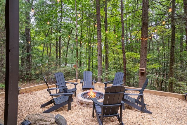 60 Icy Lane, Blue Ridge, GA 30513