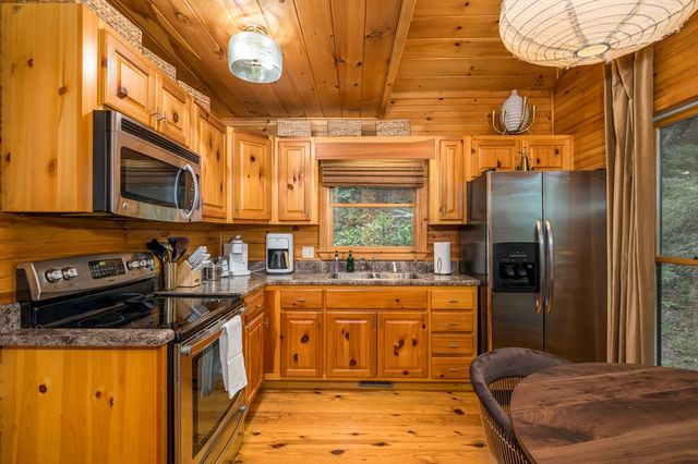 60 Icy Lane, Blue Ridge, GA 30513