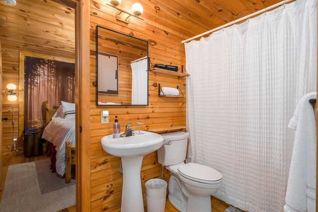 60 Icy Lane, Blue Ridge, GA 30513