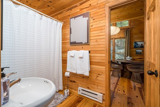 60 Icy Lane, Blue Ridge, GA 30513