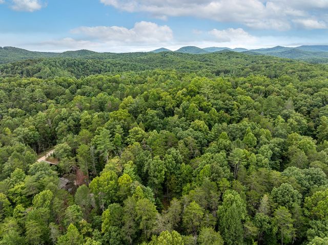 60 Icy Lane, Blue Ridge, GA 30513