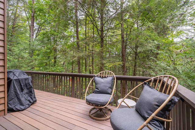 60 Icy Lane, Blue Ridge, GA 30513