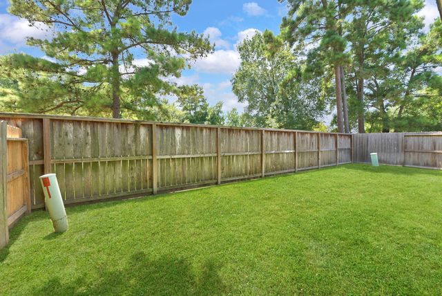 28007 Elijah Hills Lane, Spring, TX 77386
