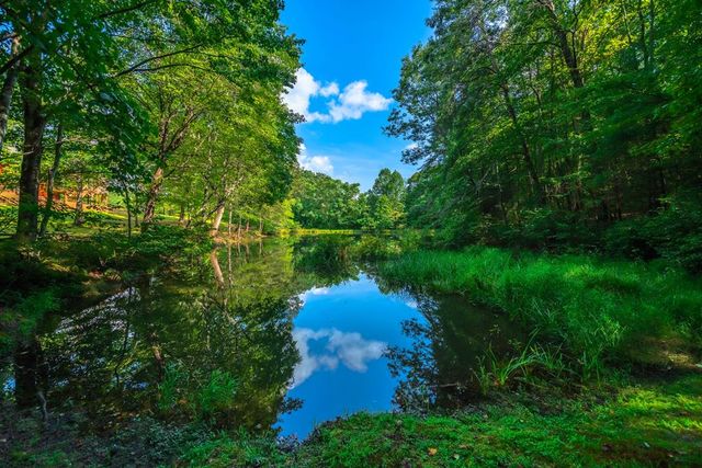 300 Cloudland Trace, Epworth, GA 30541