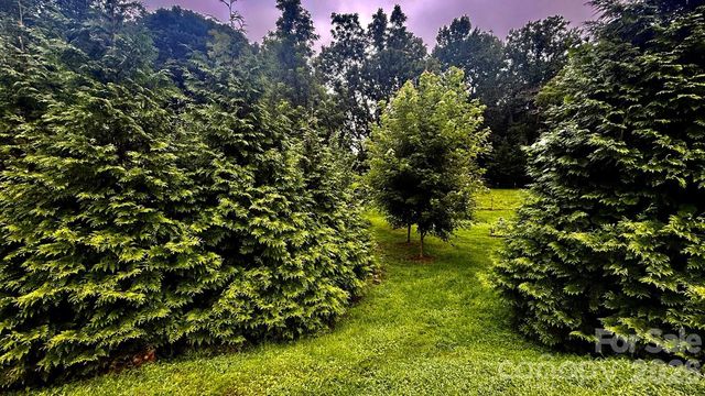 5 Northlake Drive, Weaverville, NC 28787