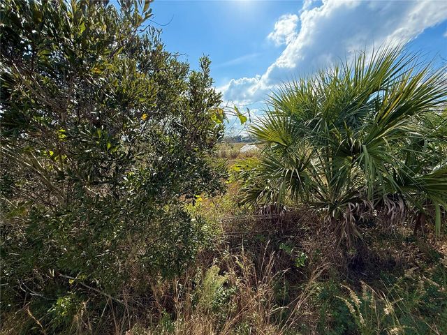 LOT 9 FORT CHRISTMAS ROAD, Christmas, FL 32709