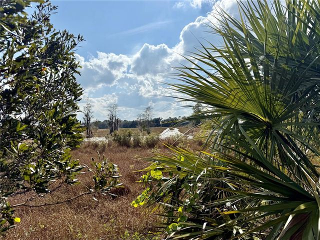 LOT 9 FORT CHRISTMAS ROAD, Christmas, FL 32709