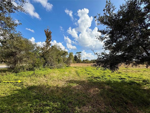 LOT 9 FORT CHRISTMAS ROAD, Christmas, FL 32709
