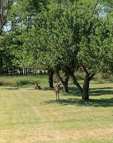 1050 Sidlauskas Drive, Sparta, MI 49345