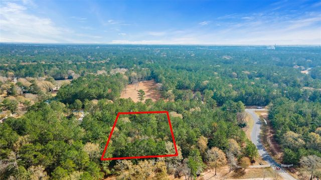 17855 Round Up Drive, Waller, TX 77484