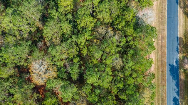 17855 Round Up Drive, Waller, TX 77484