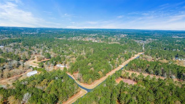 17855 Round Up Drive, Waller, TX 77484