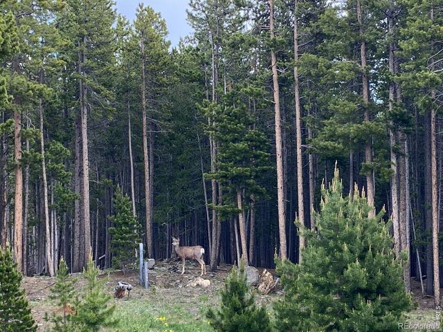 28 Valley View Lane, Evergreen, CO 80439