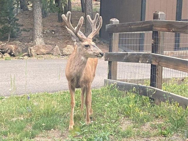 28 Valley View Lane, Evergreen, CO 80439