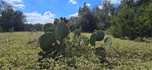 TBD Lots 2 and 3 RR-1826 RD, Austin, TX 78737