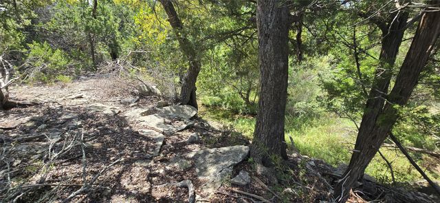 TBD Lots 2 and 3 RR-1826 RD, Austin, TX 78737