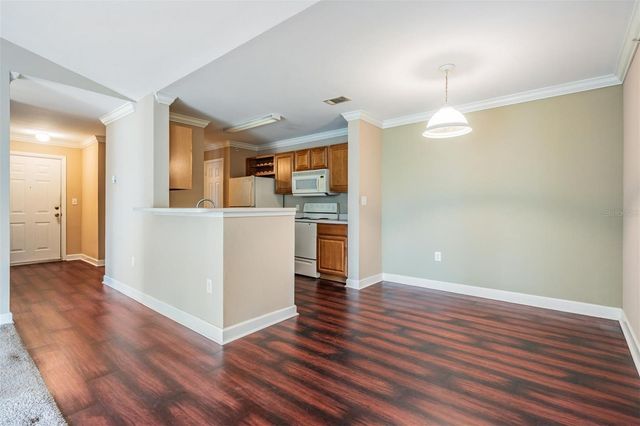 18119 BRIDLE CLUB DRIVE, Tampa, FL 33647