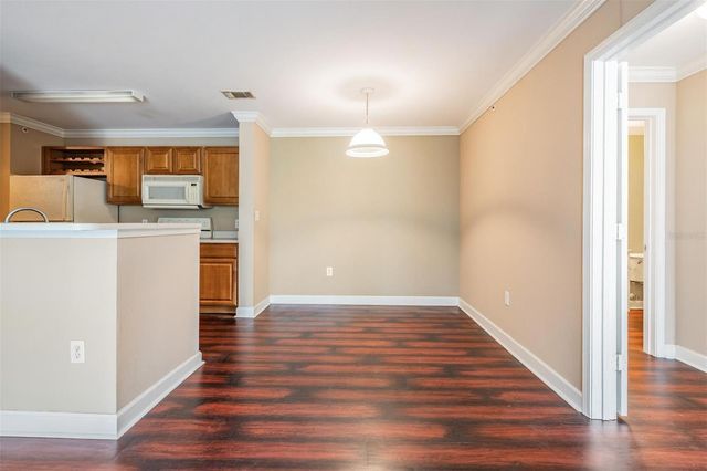 18119 BRIDLE CLUB DRIVE, Tampa, FL 33647