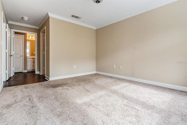 18119 BRIDLE CLUB DRIVE, Tampa, FL 33647