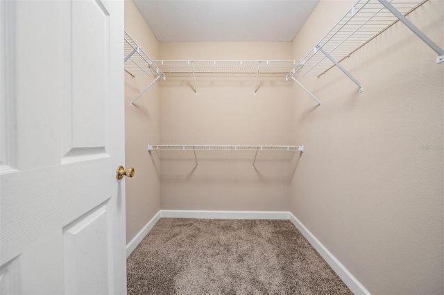 18119 BRIDLE CLUB DRIVE, Tampa, FL 33647