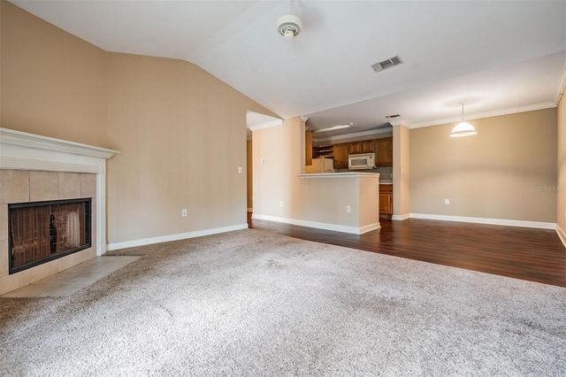 18119 BRIDLE CLUB DRIVE, Tampa, FL 33647