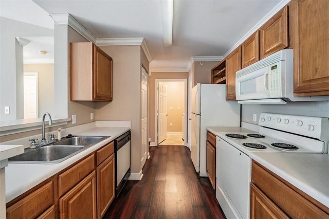 18119 BRIDLE CLUB DRIVE, Tampa, FL 33647