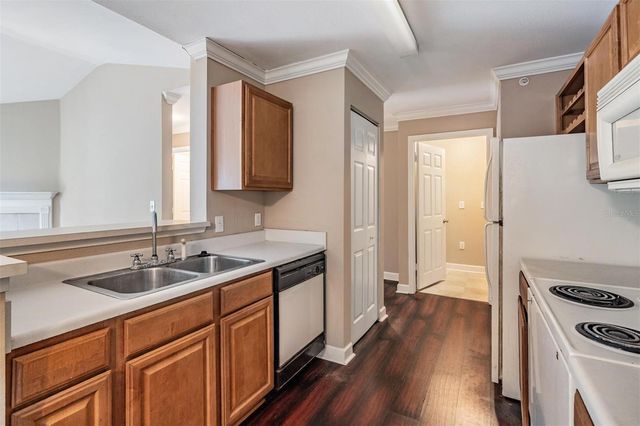 18119 BRIDLE CLUB DRIVE, Tampa, FL 33647